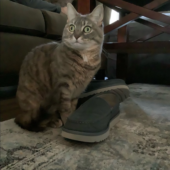 Meet your Posher, Christina - Picture 11 of 16